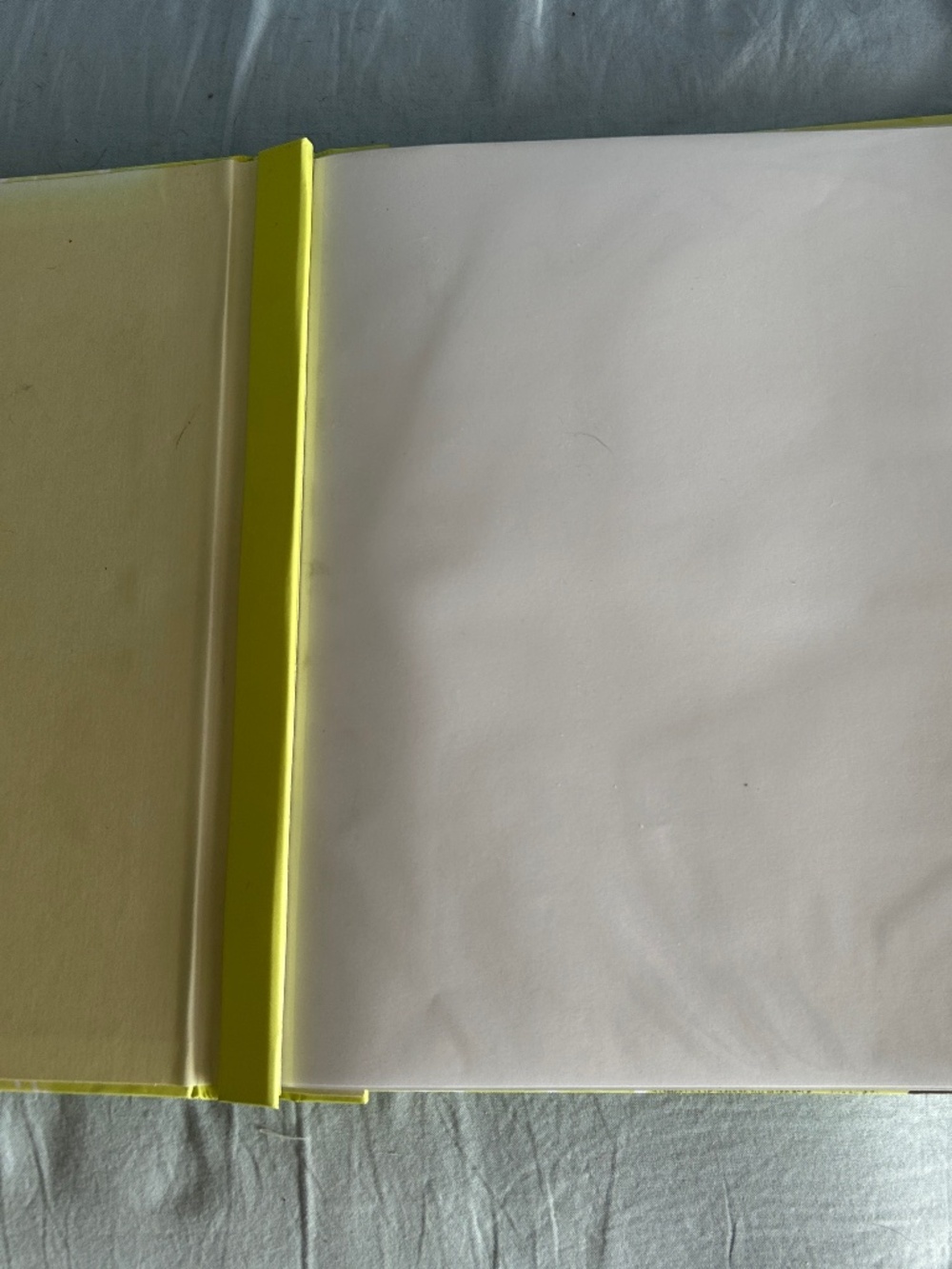 Photo Album - Picture 6 of 6